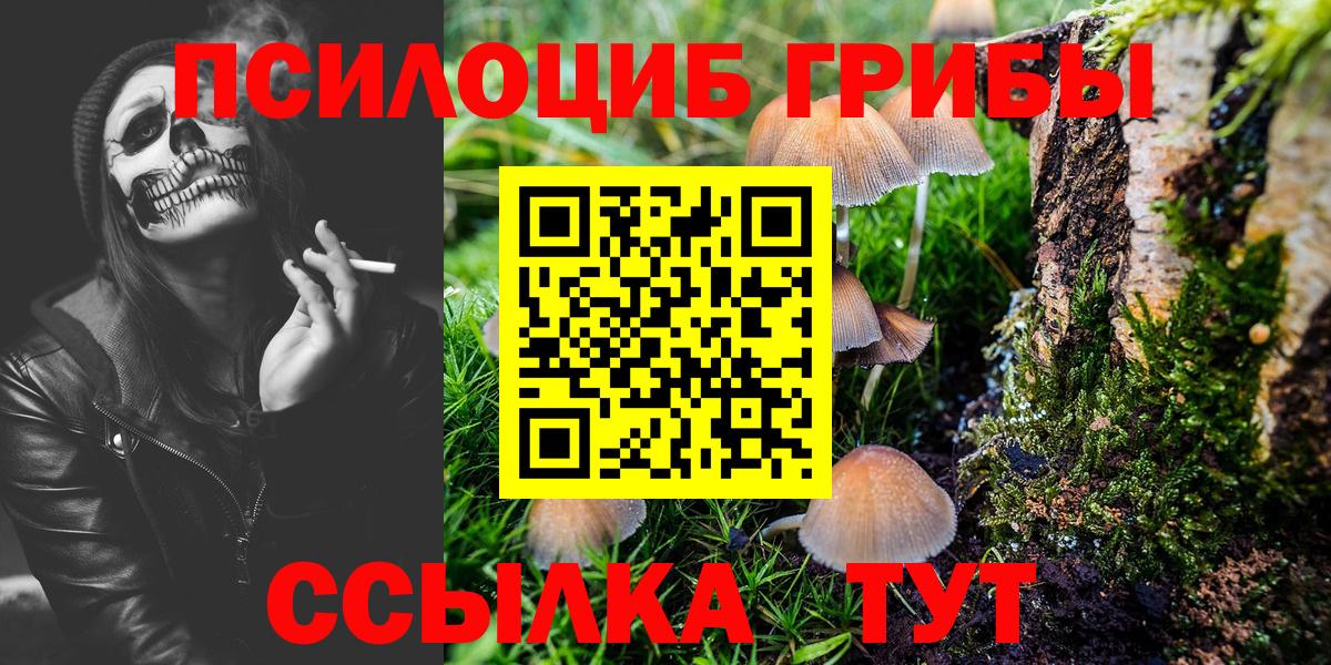 Галлюциногенные грибы GOLDEN TEACHER  Вход с VPN  Десногорск 
